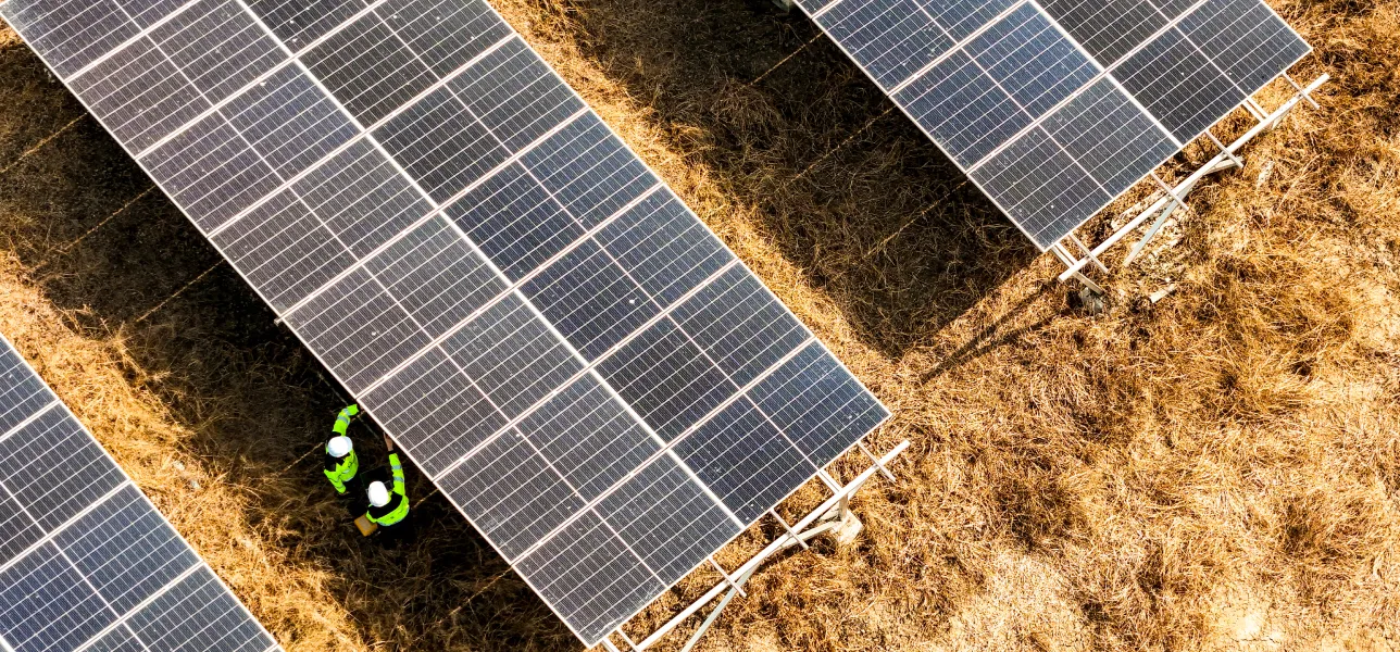 Sustainable practices