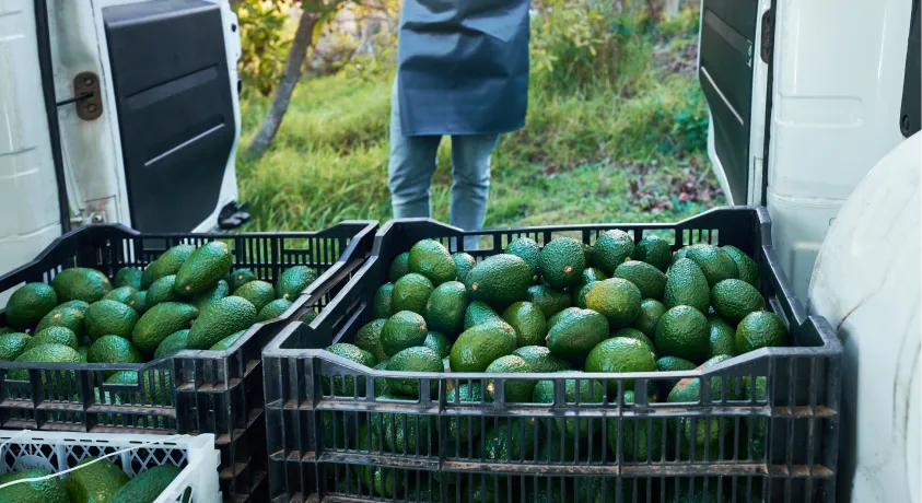 Agricultural expertise